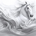 Enchanted Stallion